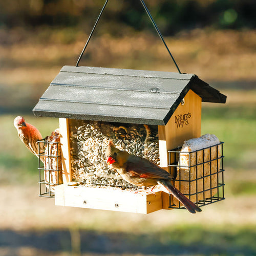 Nature's Way Hopper Feeder w/ 2 Suet Cages