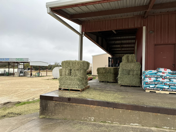Coastal 2 Strand Hay