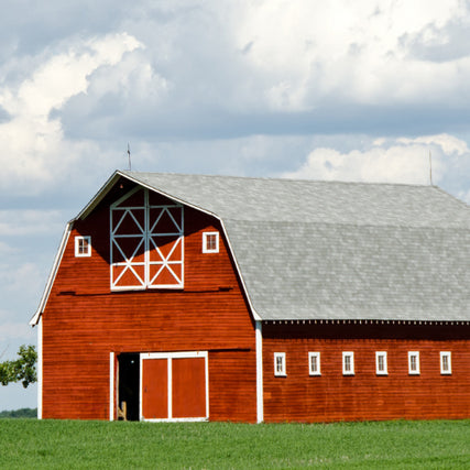 Farm & Ranch SuppliesRed barn on a pasture
