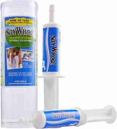 Horse Sense Solutions SayWhoa!