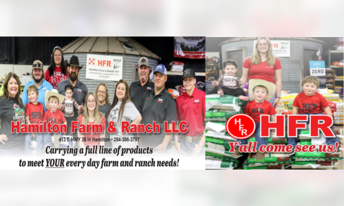 HRF staff
