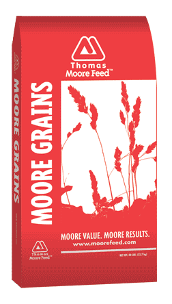 Thomas Moore Whole Cottonseed