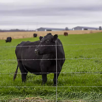 Bekaert 9.5g Open Top Class 3 Fence Stays