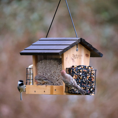 Nature's Way Hopper Feeder w/ 2 Suet Cages