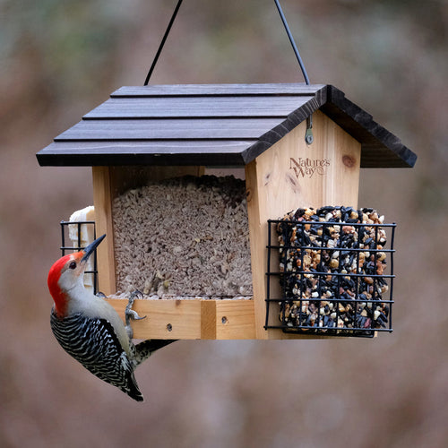 Nature's Way Hopper Feeder w/ 2 Suet Cages