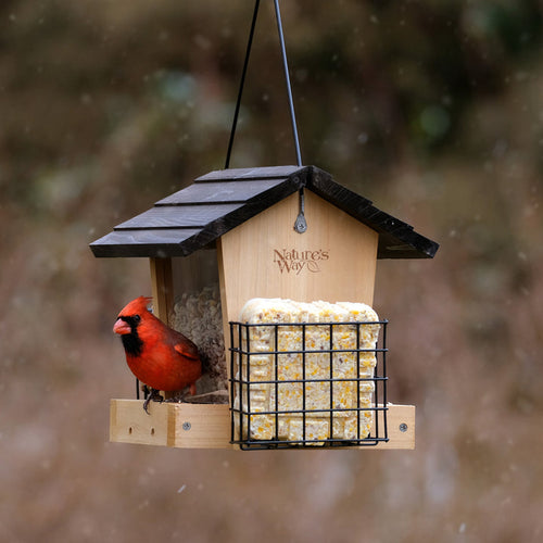 Nature's Way Hopper Feeder w/ 2 Suet Cages