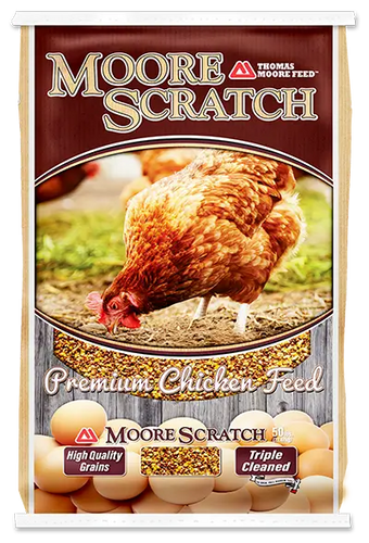 Thomas Moore Moore Scratch