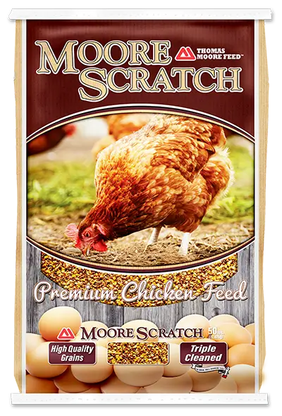 Thomas Moore Moore Scratch