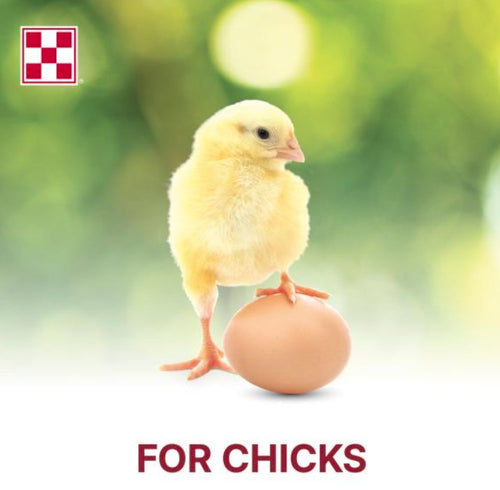 Purina® Start & Grow® Medicated Chick Feed