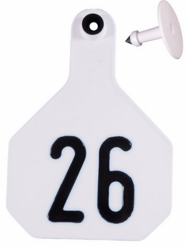 Y-Tex Large 4 Star Cattle Ear Tags White Numbered 26-50